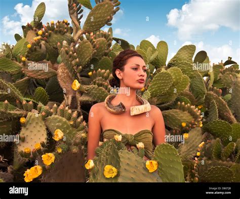 Woman In Cactus Field Stock Photo Alamy