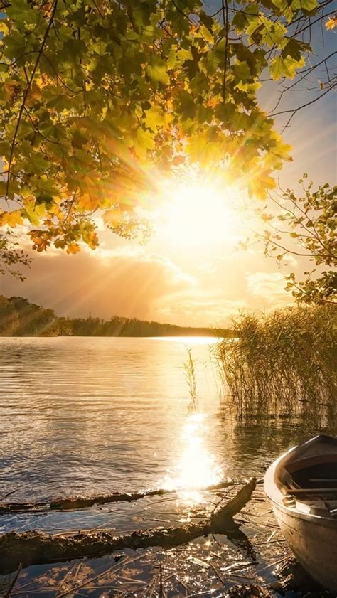 Free Download Lake Trees Boats Sun Rays Autumn Morning Fog 640x1136