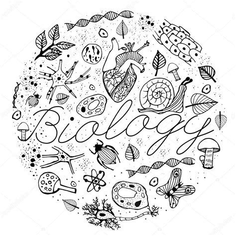 Hand Drawn Biology Pattern On A White Background Editable Vector