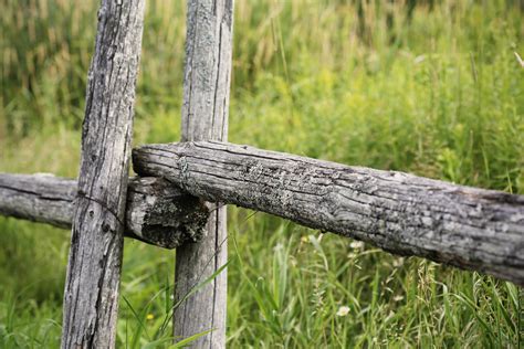Free Images Tree Nature Forest Grass Branch Fence Wood Field