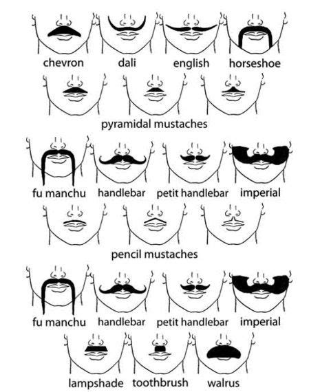 Mustache Styles Chart Beard Style Corner