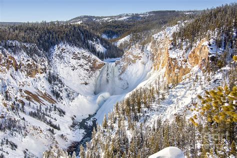 Winter At Grand Canyon Of The Yellowstone Photograph By Carolyn Fox