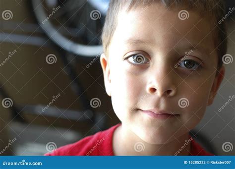 Little Boy Grinning Stock Photo Image Of Care Brown 15285222