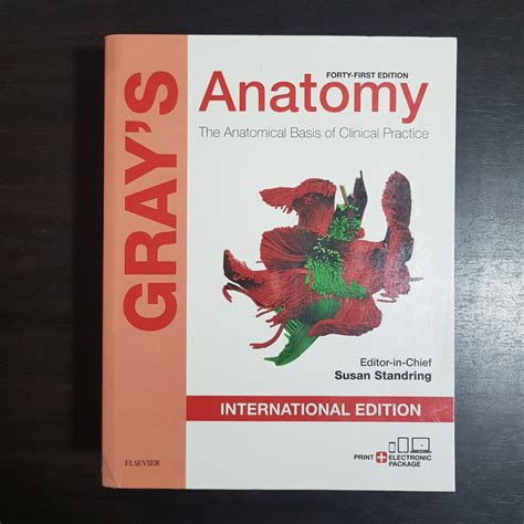 Original Grays Anatomy The Anatomical Basis Of Clinical Practice 41st