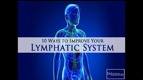 10 Ways To Improve Your Lymphatic System With Images Lymphatic