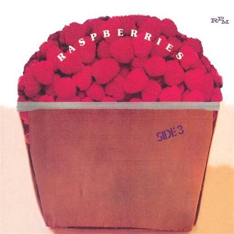 Raspberries Released Side 3 50 Years Ago Today Punk Rocker