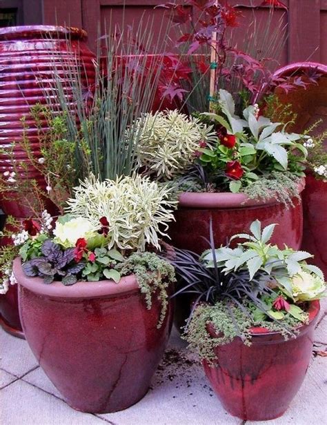 We Decided To Go With Different Plants In Our Winter Container Gardens