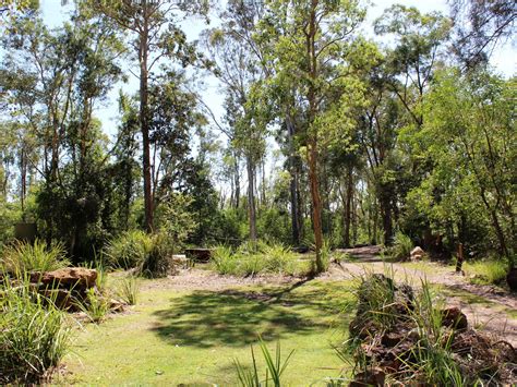 This is a great day trip from phoenix or flagstaff. Fig Tree Point day-use area | Cooloola Recreation Area ...