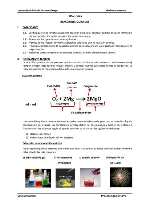 Práctica 5 Reacciones Químicas Laboratorio Practica 5 Reacciones