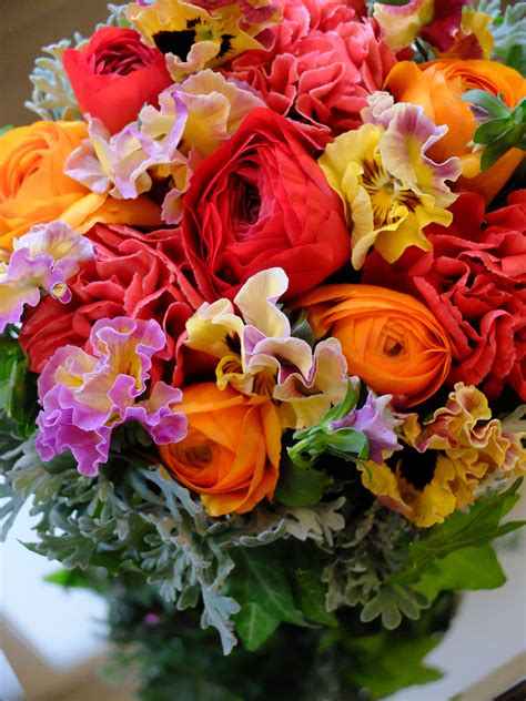See more ideas about flower identification, flowers, beautiful flowers. ranunculus and pansy ᘡℓvᘠ ☆ ღ // 彡 ⊱ ⊰ ‿ · ︎· MO MAY 22 2017 ॐ ⚜ ♥ … | Amazing flowers ...