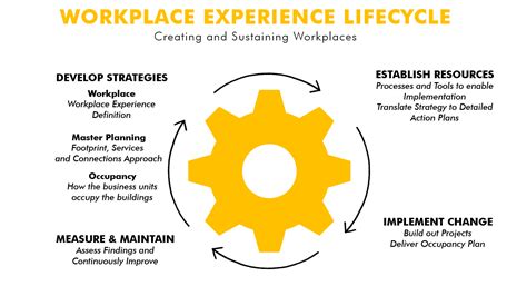 The Workplace Experience Lifecycle Ia Interior Architects