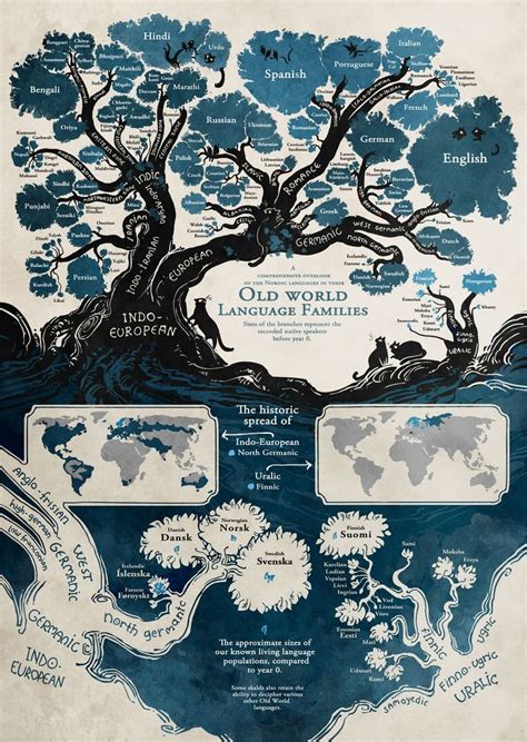 The Tree Of Languages Illustrated In One Gorgeous Infographic