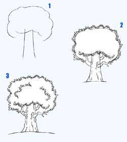 Wir zeichnen einen Baum Bäume zeichnen lernen. Zeichnen ...