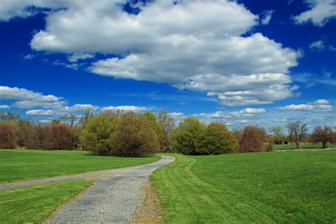 Free Images Landscape Tree Nature Path Grass Horizon Mountain