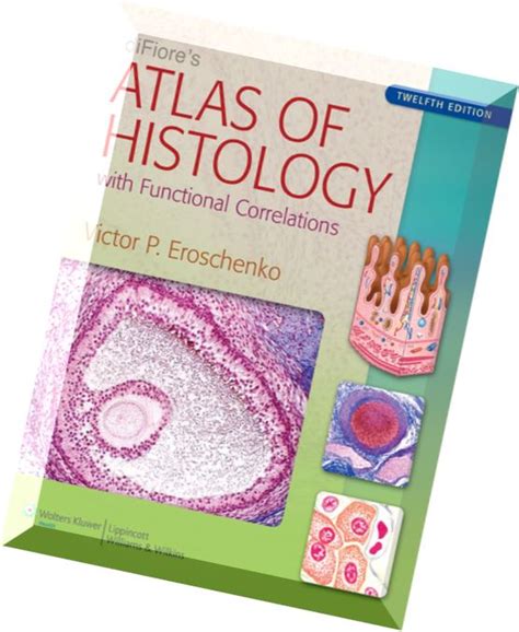 Download Difiores Atlas Of Histology Pdf Magazine