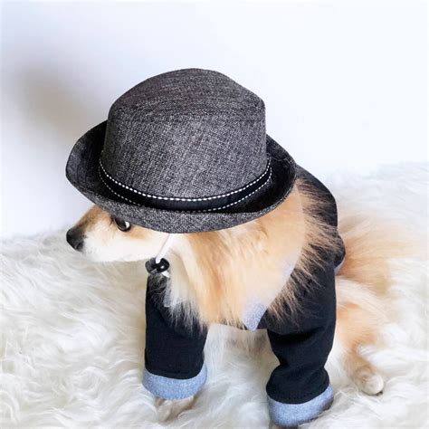 Fedora For Dogs Cats Handmade Dog Hats Dog Caps Summer Etsy
