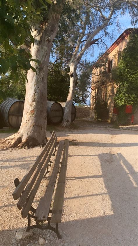 Η τζένη (πολυξένη) μπαλατσινού (θεσσαλονίκη, 2 νοεμβρίου 1970) είναι ελληνίδα παρουσιάστρια και πρώην μοντέλο βραβευμένη ως σταρ ελλάς 1990. Τζένη Μπαλατσινού: Χειμωνιάτικη απόδραση στην Αχαΐα [pics ...
