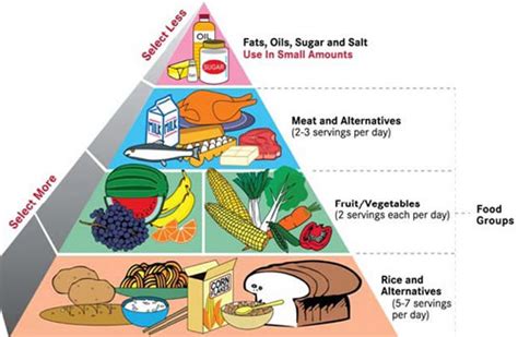 Problems with the food guide pyramid and mypyramid. Food pyramid - Women Health Info Blog