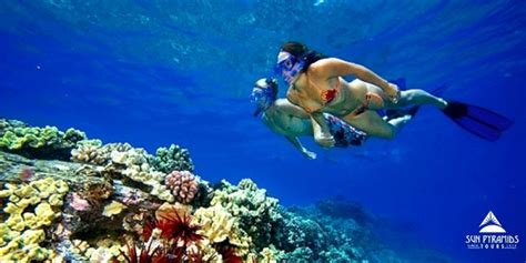 Sharm El Sheikh Full Day Tiran Island Snorkeling And Swimming Trip