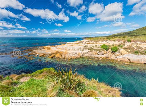 New Zealand Colorful Coast Landscape Stock Image Image Of Angle