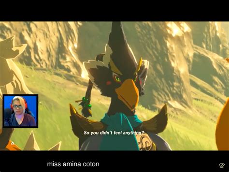 Hi Revali Legend Of Zelda Breath Of The Wild Botw Zelda