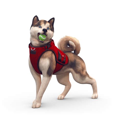 Obraz Ts4 Dog Active Simspedia Fandom Powered By Wikia
