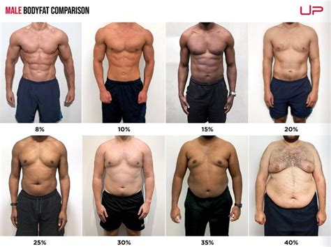 Male Body Fat Percentage Comparison Visual Guide