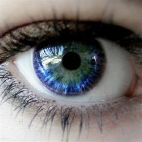 Bright Eyes Herbal Eye Application Eumundi Medicine Man