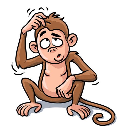 Monkey Scratching Head Clip Art Illustrations Royalty Free Vector