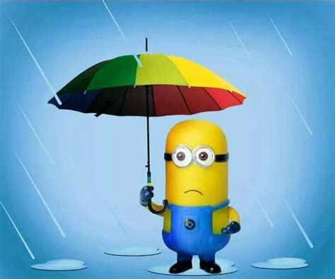 Minion Caught In Rain Minions And Friends Pinterest Rain And Minions