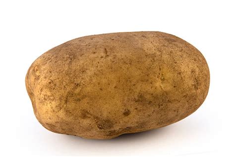 Royalty Free Raw Potato Pictures Images And Stock Photos Istock
