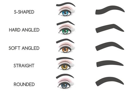 Types Of Eyebrows For Face Shapes