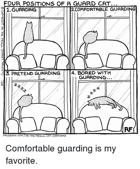Four Positions Of A Guard Cat Comfortable Guarding Guarding Pretend Guarding Bored With
