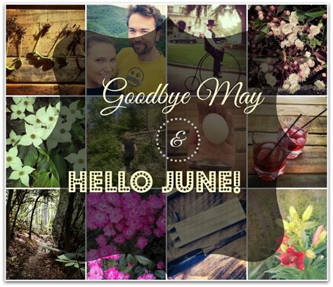 Goodbye May and Welcome June Image | Welcome june images, Welcome june, Welcome images