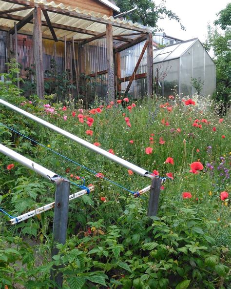 My Hometown Schwäbisch Gmünd Urbangardening Is The Future Garden