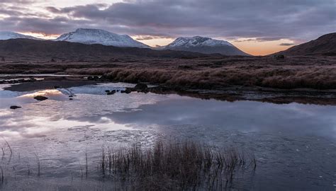 Winters Dawn Lochan Na Stainge Rannoch Moor Scotland By Sarah Howard