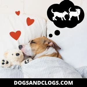 Also, puppies do require a lot of sleep when they are very young. 9 Reasons Why Your Dog Is Breathing Fast While Sleeping
