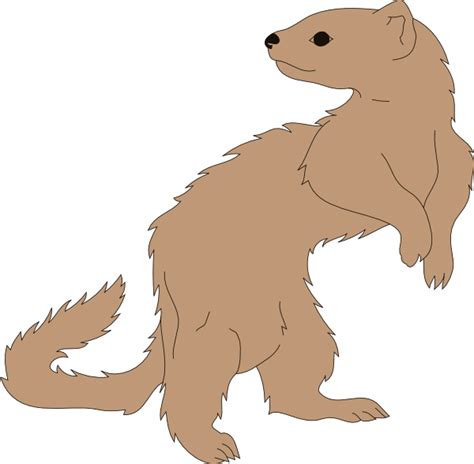 Weasel Clipart At Getdrawings Free Download