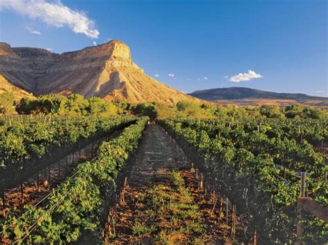 2964 interstate 70 business loop #5. Top Things to Do in Grand Junction, Colorado ...