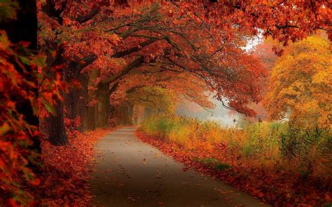 Fall Scenery Wallpapers ·① Wallpapertag