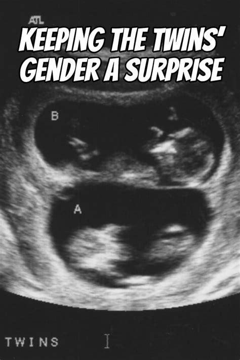 Keeping The Twins Gender A Surprise Dads Guide To Twins