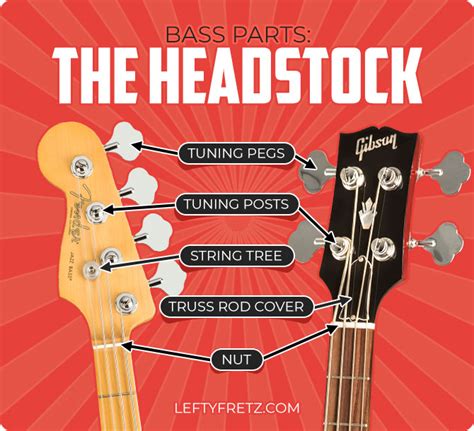Parts Of The Bass Guitar Anatomy Explained With Diagrams