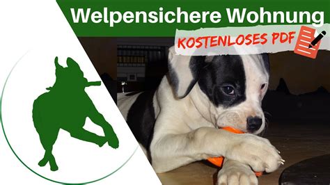 Wie sucht und findet man in deutschland viele menschen leben alleine. Die Wohnung für den Welpen vorbereiten - so macht Ihr ...