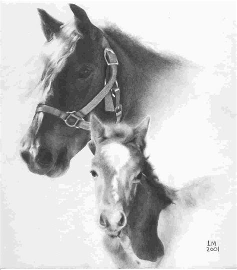 Adorable Horses Horse Drawings Beautiful Pencil Drawings