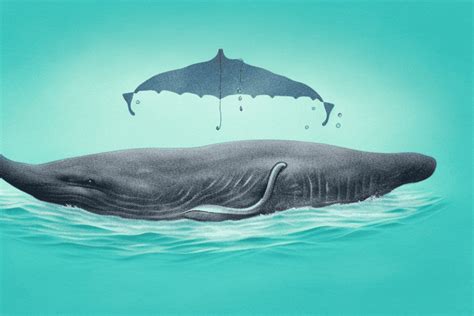 Do Sperm Whales Sleep Vertically An Exploration Of Their Resting
