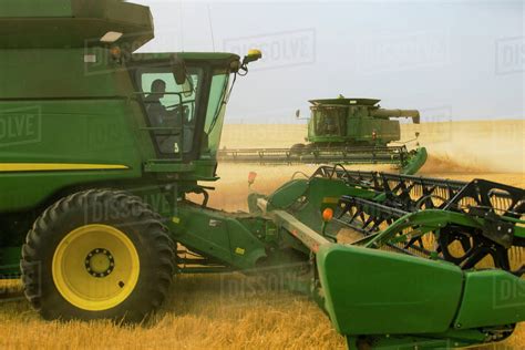 Paplow Harvesting Company Custom Combines A Wheat Field Near Ray