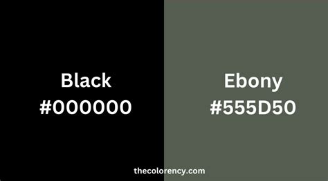 Black Vs Ebony All The Differences Explained The Color Ency