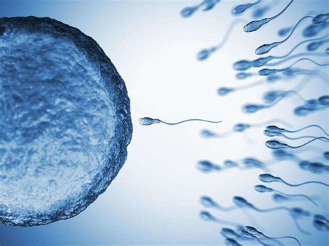 5 Modi Per Aumentare La Fertilità Maschile By Promea Spa Medium