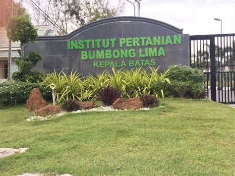 Berdasarkan keputusan ratu belanda tanggal 6 juni 1905, suatu institusi pendidikan baru dapat dinamakan universitas jika sudah memiliki lima fakultas. INSTITUT PERTANIAN BUMBUNG LIMA 15/17 (PART 2) - YouTube