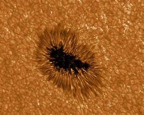 Solar Astronomers Can Now Predict Future Sunspots There Should Be A